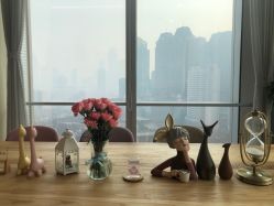 点击看大图 -dōTERRA多特瑞精油生活馆