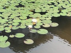 -景德镇中国陶瓷博物馆西山湖凯莱度假酒店