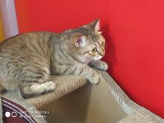 -H立方实景剧情密室(天河旗舰店)