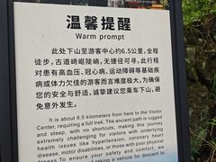 -天目山大树王景区