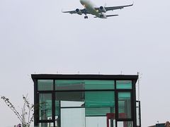 -空港花田景区