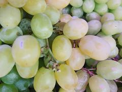 -红星农博物流中心