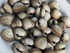 -温州风味老乡饭庄(斜角街店)