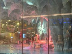 -帝企鹅自助餐厅•儿童岛•真企鹅(长隆企鹅酒店)