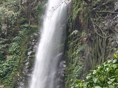 -莫里热带雨林景区