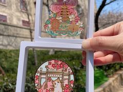 -武汉大学-樱园