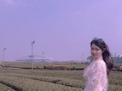 -雪绿茶博物馆