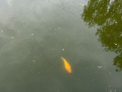 -黛秀湖公园