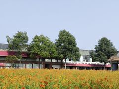 -洪湖家庭农场·团建·露营·会议