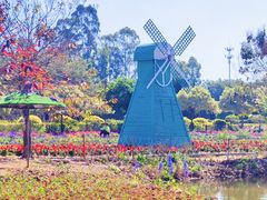 -南沙蒲洲花园