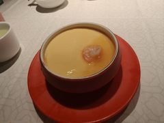-大鸽饭(动物园店)