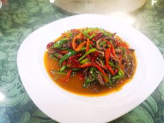 青椒肉丝-新疆红柳花餐厅(新洲店)