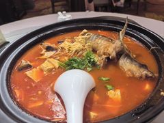 酸汤鱼-贵州大厦贵州厅(樱花园西街店)