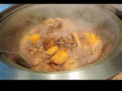 -山河屯铁锅炖(哈西站店)