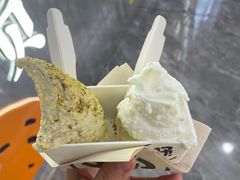 -野人先生现做冰淇淋(西安赛格店)