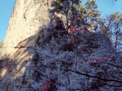 -塔云山