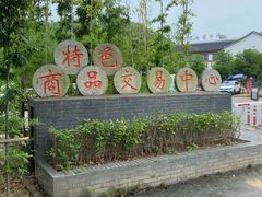 -长兴慧子土特产茶行