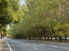 -Kpasta韩式意大利面