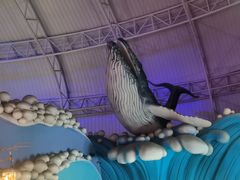 -烟台海昌鲸鲨海洋公园