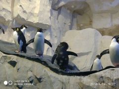 -华夏文旅海洋公园