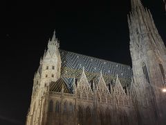 -斯蒂芬主教座堂(Stephansdom)
