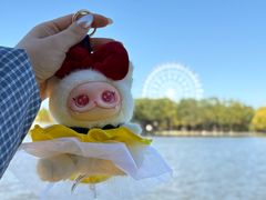 -石家庄市植物园