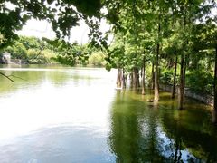 android_upload_pic-东莞市可园博物馆