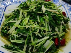 金丝菜-老宅子私房菜馆(大理古城店)