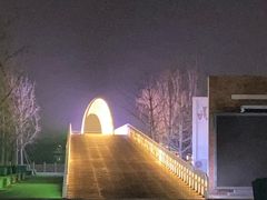 -大兴滨河森林公园