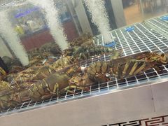 -喜来酌海鲜·饺子(和平一店)