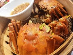 -胖哥俩肉蟹煲(昆山金鹰店)