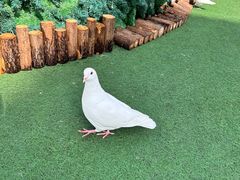 -华谊兄弟（长沙）电影小镇