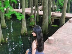 -东湖落雁景区