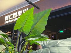-同仁四季椰子鸡(宝安壹方城店)