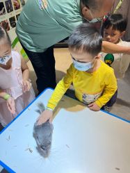 -酷嗒动物文化乐园(cutezoo西溪乐天城店)