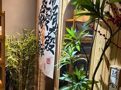 -合肥滨湖国家森林公园