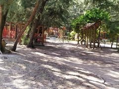 -北海金海湾红树林生态旅游区