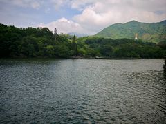 -深圳仙湖植物园-停车场