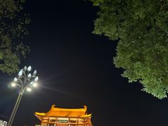 -杜甫江阁