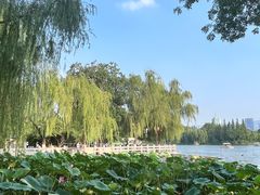 -济南大明湖景区