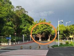 -广东工业大学(大学城校区)