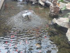 -滦州古城