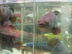 -东江海鲜酒家(艺都分店)