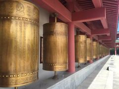 -龙口南山旅游景区