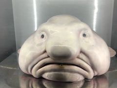 -东京塔海贼王主题公园