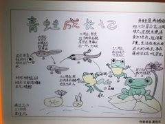 -上海昆虫博物馆