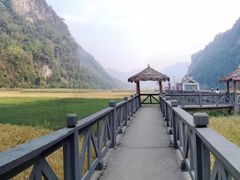 -沧源崖画
