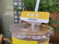 -COMPANION COFFEE小伴咖啡