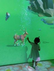 -恐龙探索乐园(磁器口店)