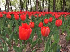 -长春公园(普阳街道)